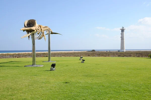 Кит скелет и маяк в Джандия-Плайя, Фуэртевентура, Канарский остров — стоковое фото