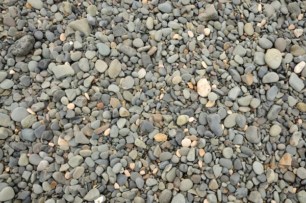 Guijarros grises en la playa — Foto de Stock