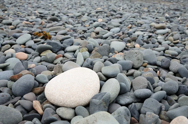 Сіра галька на пляжі — стокове фото