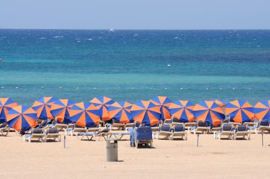 Sun lounger on the beach of Caleta de Fuste, Canary Island Fuerteventura, S clipart