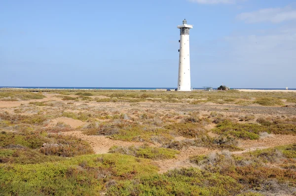 ハンディア プラヤ、フェルテベントゥラ島、カナリア諸島、スペインにおける塩性湿地 — ストック写真