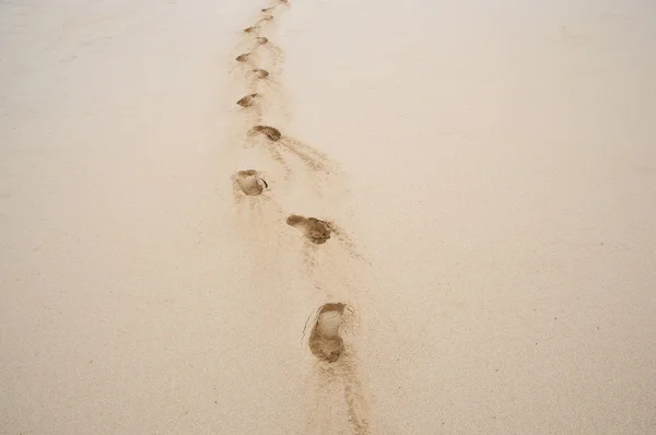 Deep footprints in the sand on the beach — Stock Photo, Image