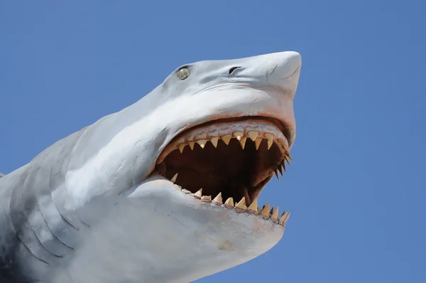Модель небезпечної акули з відкритим ротом — стокове фото