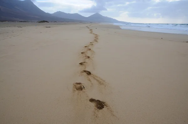 Ślady na plaży. Wyspy Kanaryjskie fuerteventura, Hiszpania — Zdjęcie stockowe