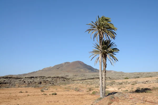 Paisagem na Ilha das Canárias Fuerteventura, Espanha — Fotografia de Stock