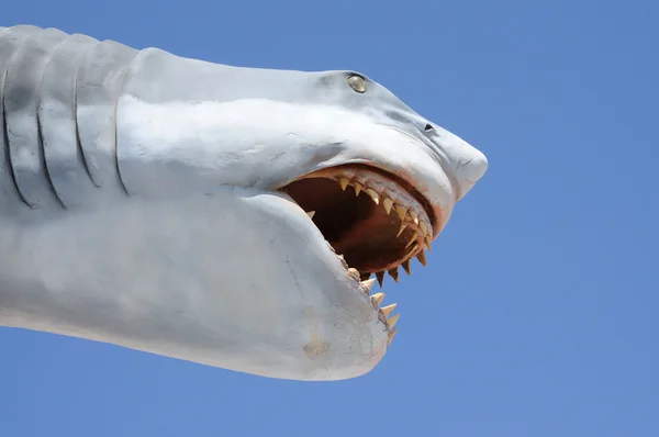 Tubarão perigoso — Fotografia de Stock