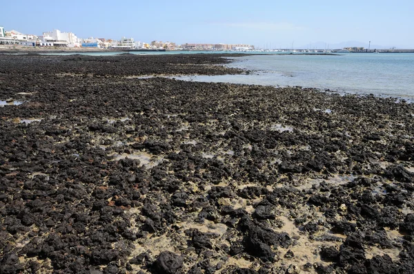 科拉莱霍加那利岛富埃特文图拉西班牙海岸的黑色熔岩 — 图库照片