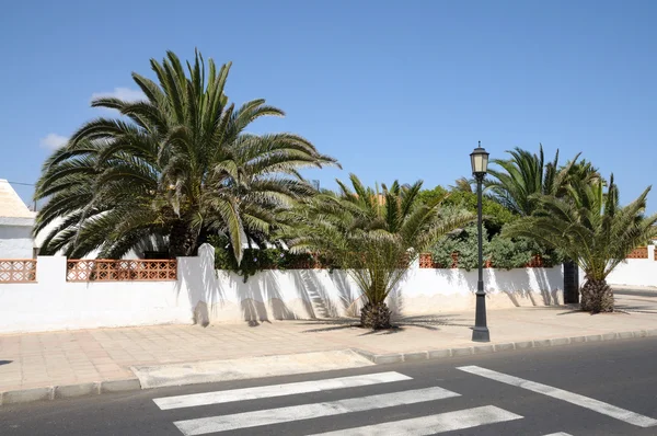 Ulica z palmami w corralejo, fuerteventura — Zdjęcie stockowe