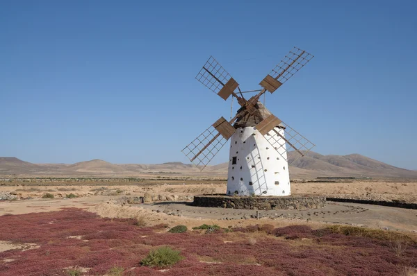 Traditionell väderkvarn på canary ön fuerteventura, Spanien — Stockfoto