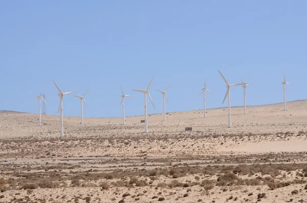 Turbiny wiatrowe do energii odnawialnej. — Zdjęcie stockowe