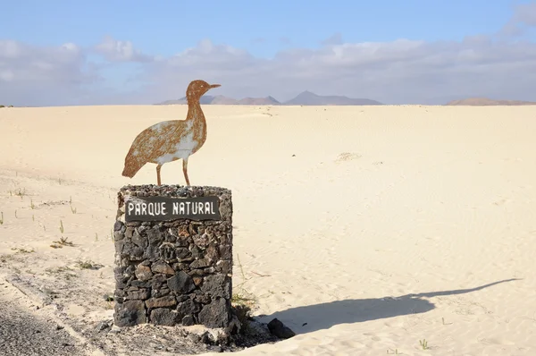 Természetvédelmi a Kanári sziget fuerteventura, Spanyolország — Stock Fotó