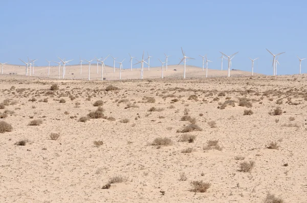 Rüzgar türbinleri yenilenebilir enerji için — Stok fotoğraf
