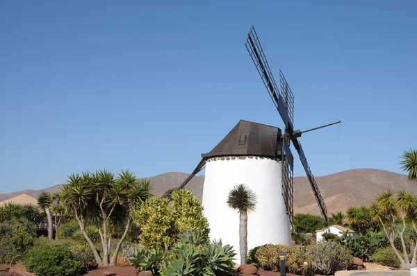 Moara de vânt tradițională pe Insula Canară Fuerteventura, Spania — Fotografie, imagine de stoc