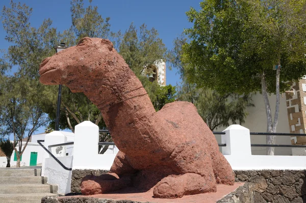 Velbloudí socha v Tuineji, Kanárský ostrov Fuerteventura, Španělsko — Stock fotografie