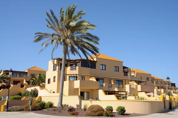 Maisons de vacances sur Canaries Fuerteventura, Espagne — Photo