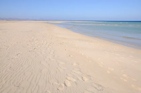 Pláž na Kanárské ostrov fuerteventura, Španělsko — Stock fotografie
