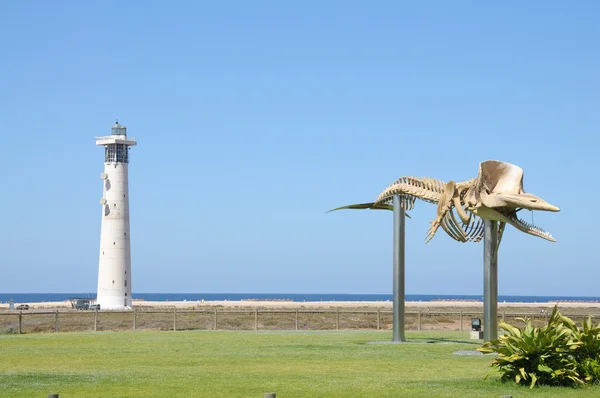 Walvis skelet in jandia playa, Canarische eiland fuerteventura, Spanje — Stockfoto
