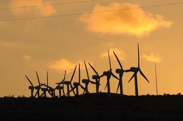 Turbiny wiatrowe o zachodzie słońca — Zdjęcie stockowe