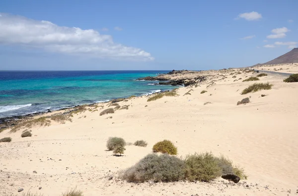Sahil yakınında corralejo, Kanarya Adası fuerteventura, İspanya — Stok fotoğraf