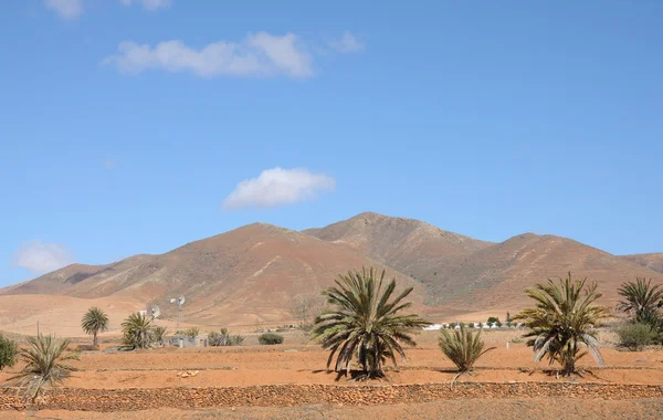 Paisagem perto de Tuineje, Ilha Canária Fuerteventura, Espanha — Fotografia de Stock
