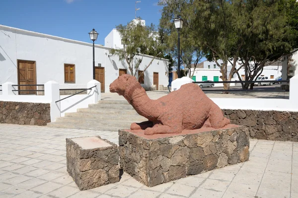 Kamelskulptur in tuineje, fuerteventura — Stockfoto