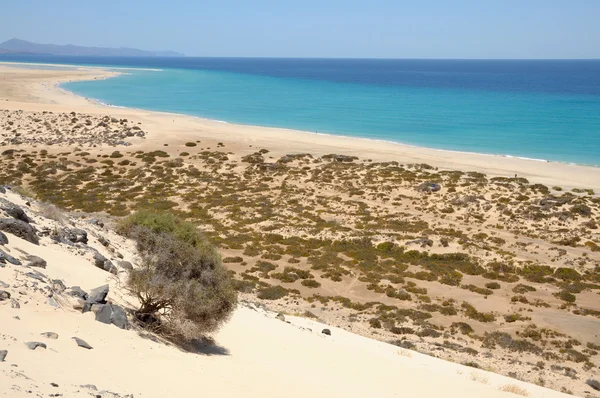 Praia Playa de Sotavento, Ilha das Canárias Fuerteventura — Fotografia de Stock
