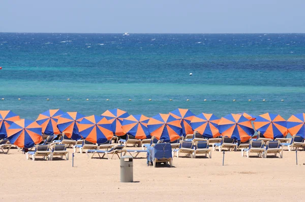 Chaise longue sur la plage de caleta de fuste, canaris île fuerteventura, s — Photo