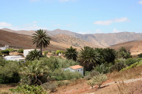 Falu betancuria, Kanári sziget fuerteventura, Spanyolország — Stock Fotó