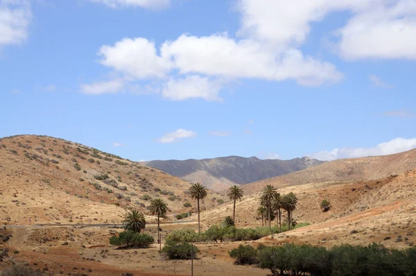 Landscape on Canary Island Fuerteventura, Spain — Stock Photo, Image
