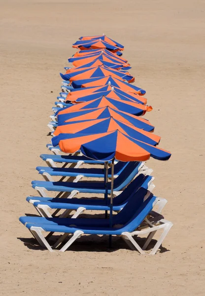 Row of sun loungers on the beach — Stock Photo, Image