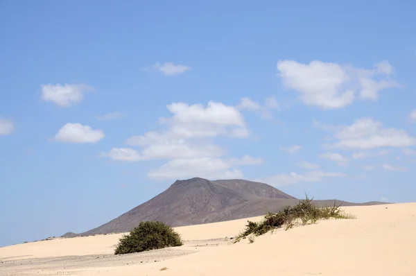 Landskap på canary ön fuerteventura, Spanien — Stockfoto