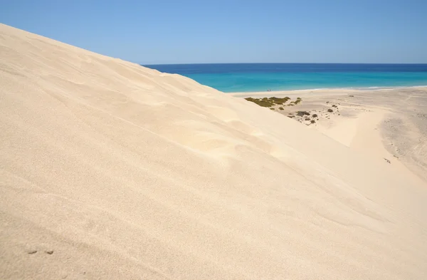 Písečné duny na Kanárské ostrov fuerteventura, Španělsko — Stock fotografie