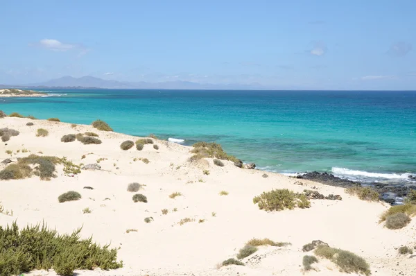 Pobřeží poblíž corralejo, Kanárské ostrov fuerteventura, Španělsko — Stock fotografie