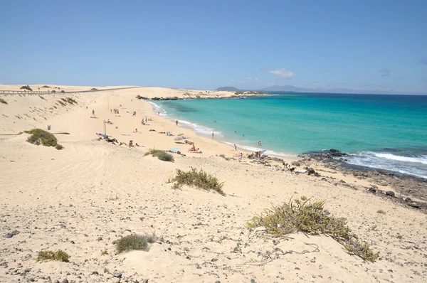 Strand in de buurt van corralejo, Canarische eiland fuerteventura, Spanje — Stockfoto