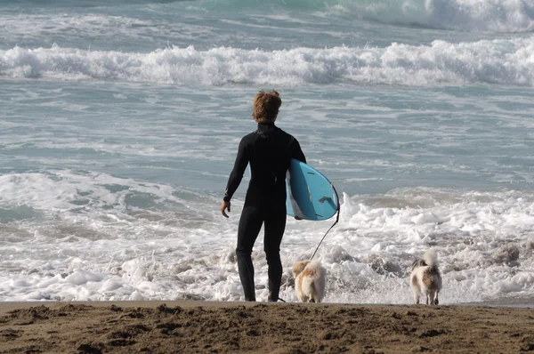 Surfer met zijn honden op het strand — Stockfoto