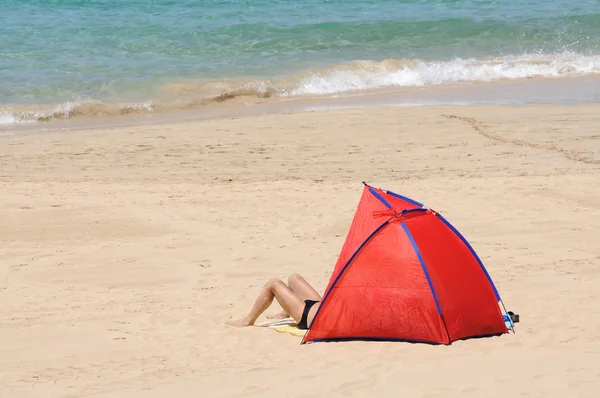 Tält på stranden. Canary ön fuerteventura, Spanien — Stockfoto
