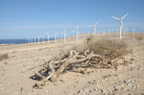 Turbiny wiatrowe na pustyni — Zdjęcie stockowe