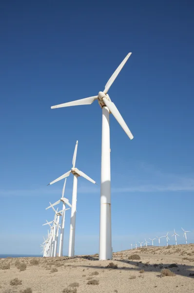 Ветряные турбины для возобновляемых источников энергии. Фуэртевентура, Испания — стоковое фото