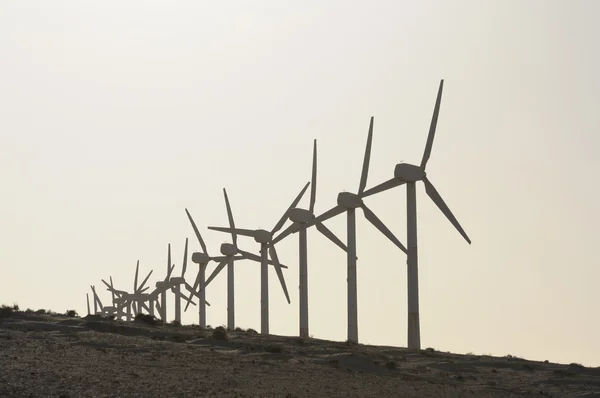 Turbinas eólicas al atardecer. Islas Canarias Fuerteventura, España — Foto de Stock