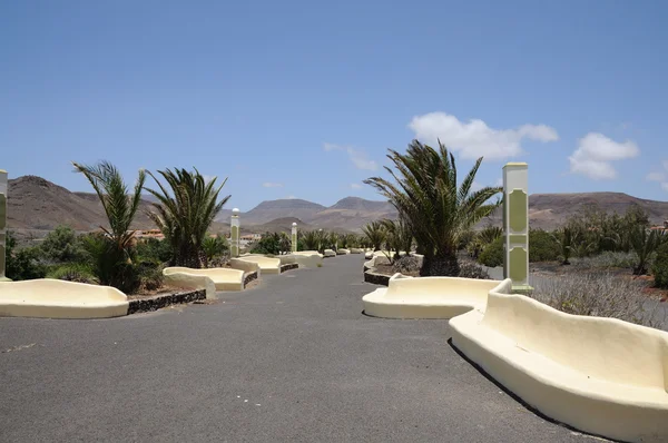 Passeggiata a La Pared. Isole Canarie Fuerteventura, Spagna — Foto Stock