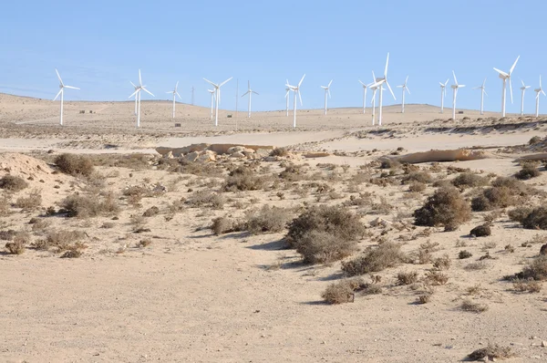 Turbiny wiatrowe na pustyni. Wyspy Kanaryjskie fuerteventura, Hiszpania — Zdjęcie stockowe