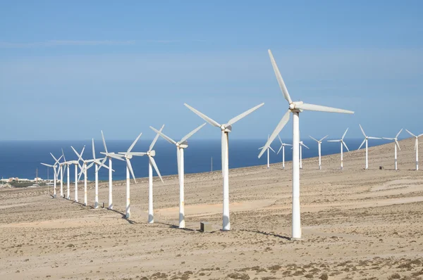 Turbin angin di Canary Island Fuerteventura, Spanyol — Stok Foto