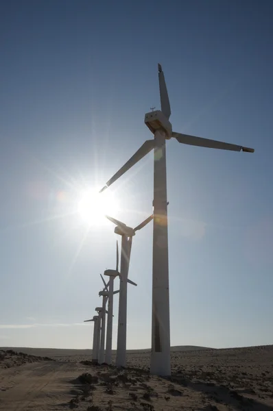 Turbinas eólicas no deserto — Fotografia de Stock