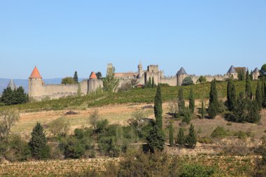 Carcassonne in southern France clipart