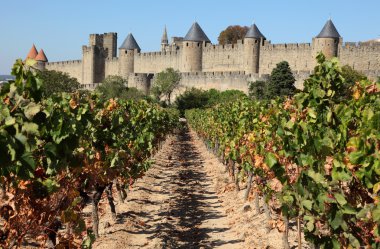 Carcassonne from the vineyard. Southern France clipart