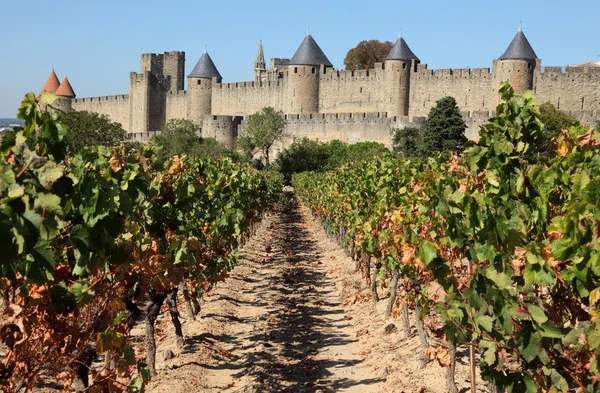 Carcassonne z winnicy. we Francji — Zdjęcie stockowe