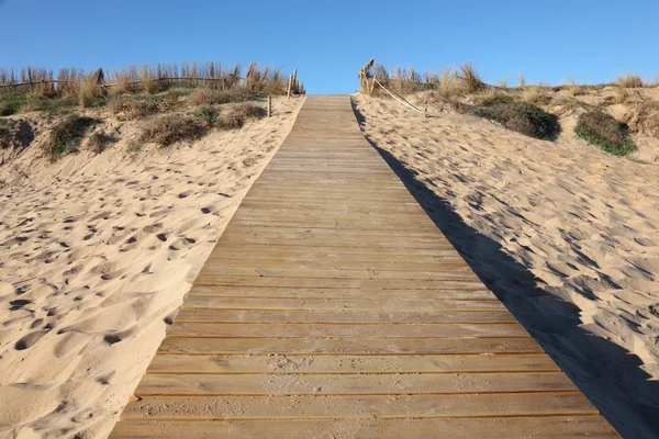 Ξύλινο μονοπάτι κορυφαία ΟΤ μια θίνη άμμου — Φωτογραφία Αρχείου