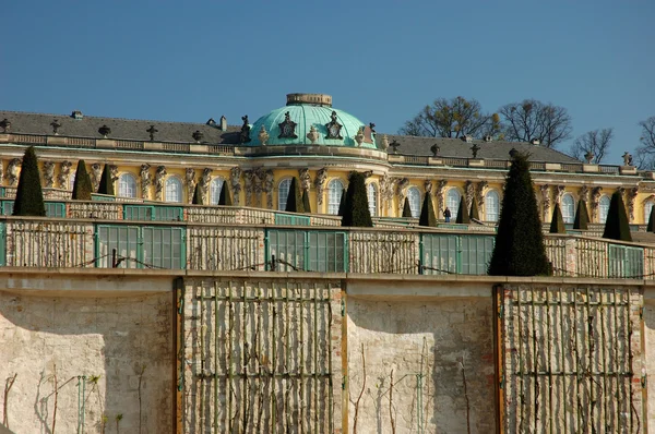 Sanssouci Sarayı ve üzüm bağları Potsdam — Stok fotoğraf