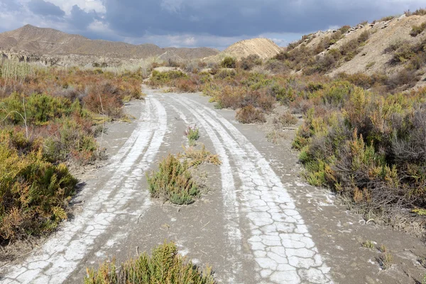 Одинокая дорога в пустыне. Андалусия, Испания — стоковое фото