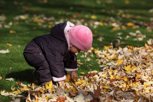Petite fille jouant avec les feuilles dans le parc automnal — Photo